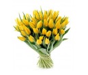 Желтый тюльпан 51 