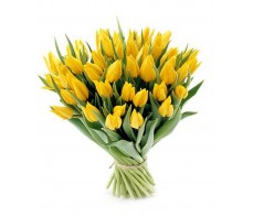 Желтый тюльпан 51 