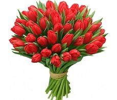  Красный тюльпан 51