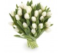 Белые тюльпаны 25 шт.